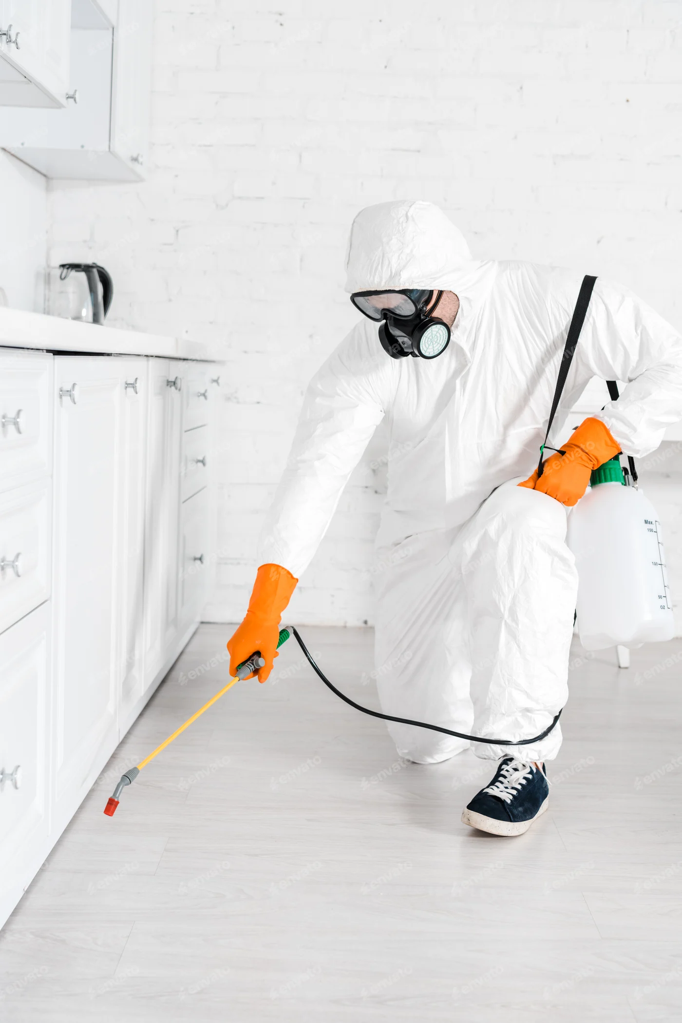 Pest Control